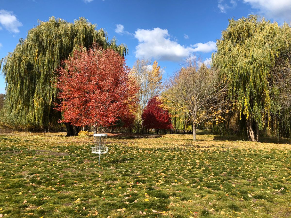 Guided Disc Golf Round & Clinic