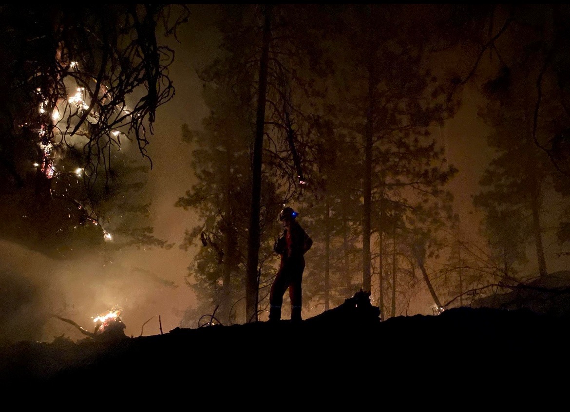 Wildfire Regeneration Tours